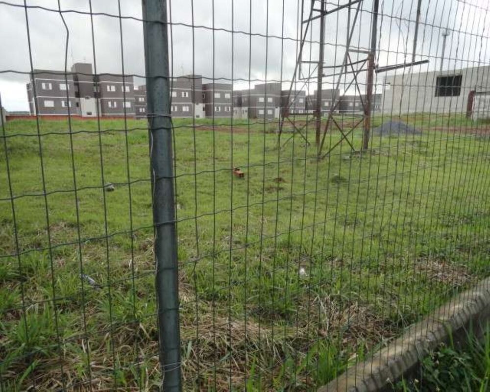 Terreno, 5000 m² - Foto 4