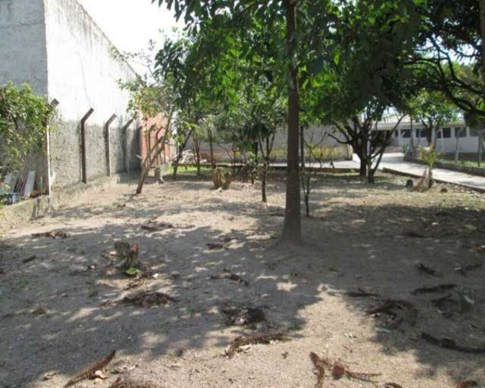 Chácara, 1 quarto - Foto 4