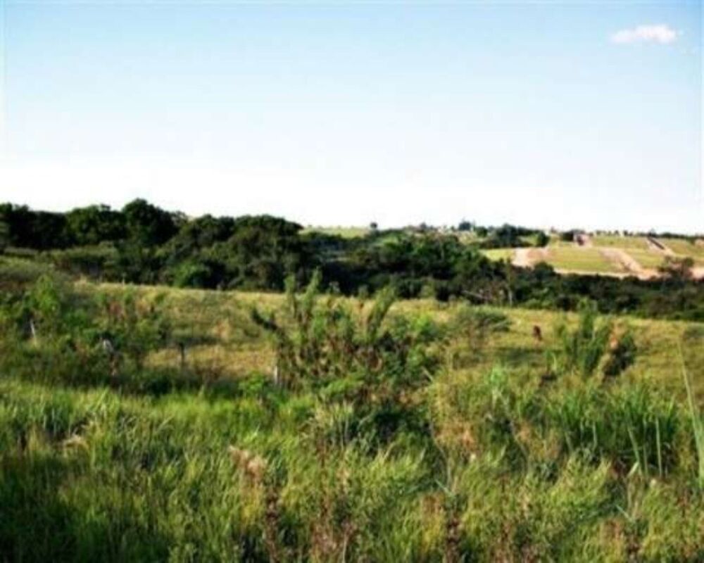 Terreno, 73 hectares - Foto 2