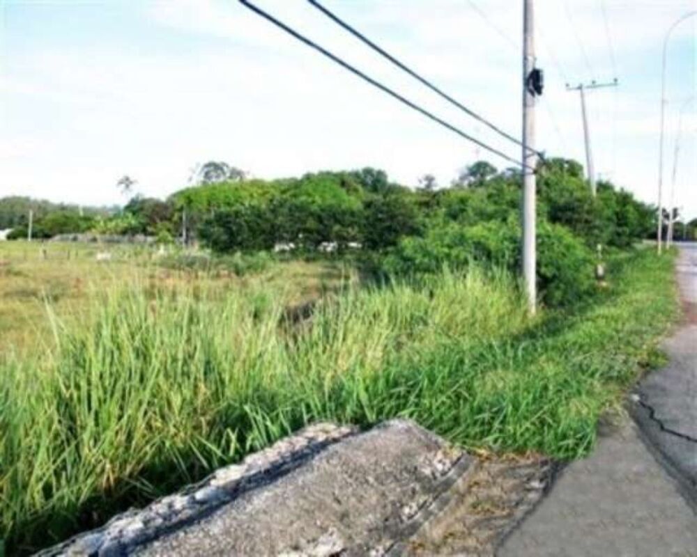 Terreno, 73 hectares - Foto 4