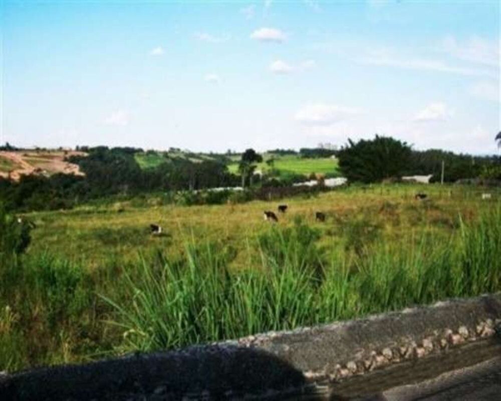 Terreno, 73 hectares - Foto 3