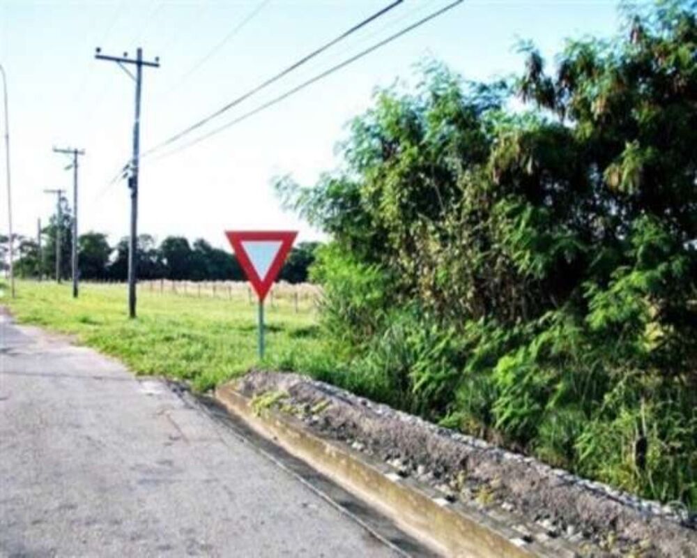 Terreno, 73 hectares - Foto 1