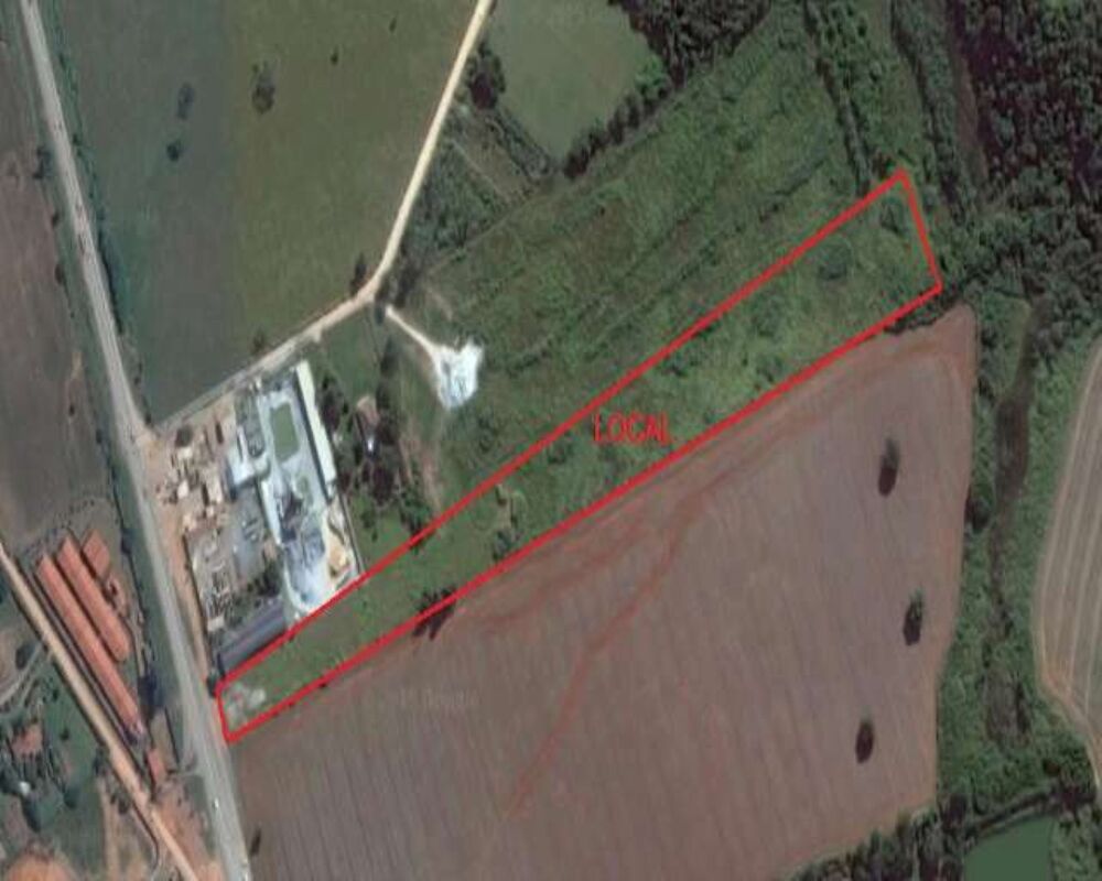 Terreno, 4 hectares - Foto 8