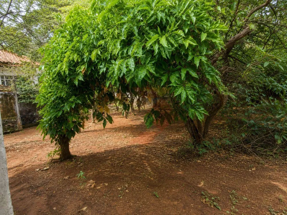 Casa, 3 quartos, 194 m² - Foto 8