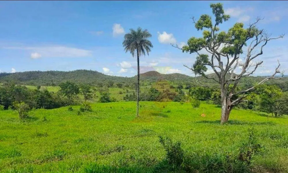 Fazenda, 63 hectares - Foto 2