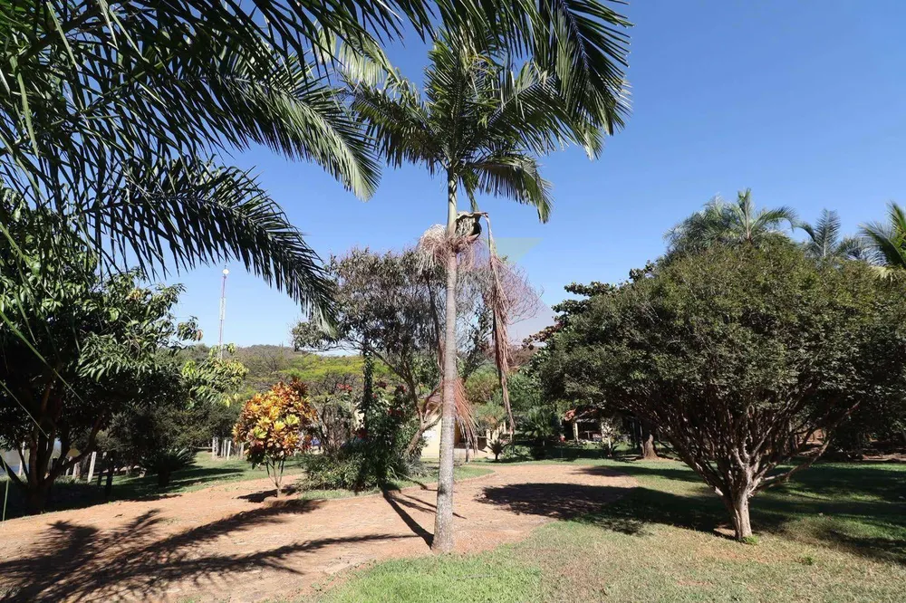 Fazenda, 63 hectares - Foto 7