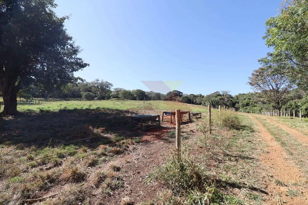 Fazenda, 63 hectares - Foto 10