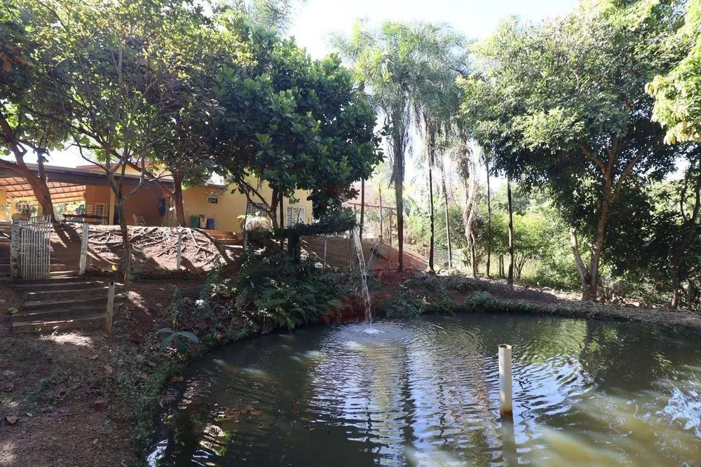 Fazenda, 63 hectares - Foto 3