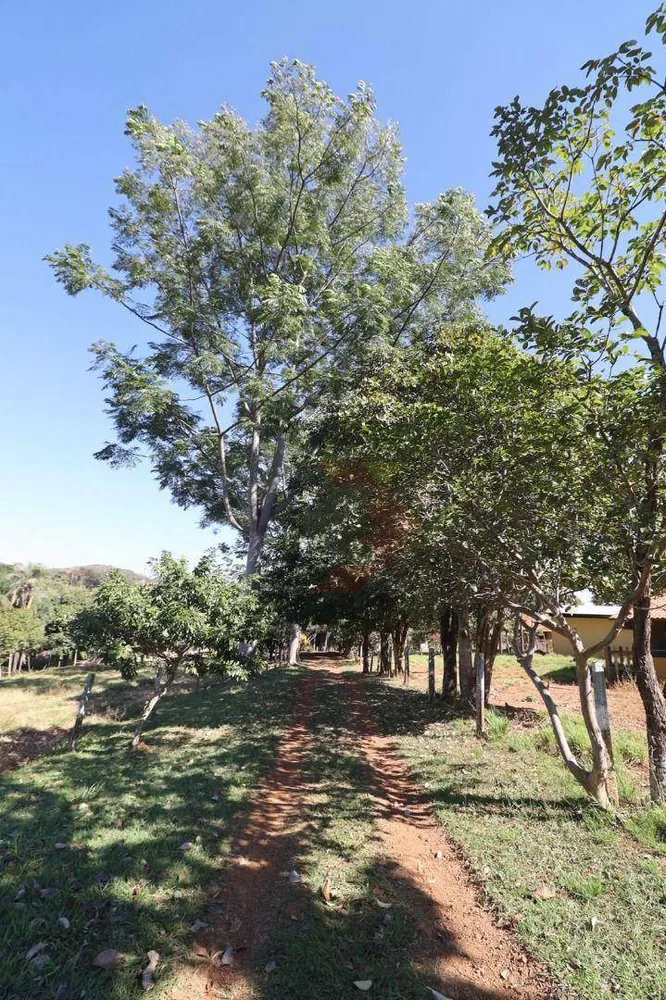 Fazenda, 63 hectares - Foto 18
