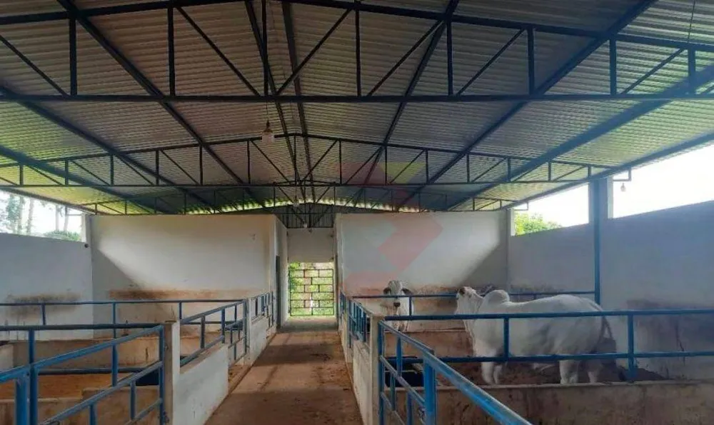 Fazenda, 63 hectares - Foto 12