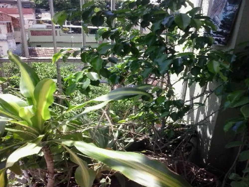 Apartamento, 2 quartos, 66 m² - Foto 26