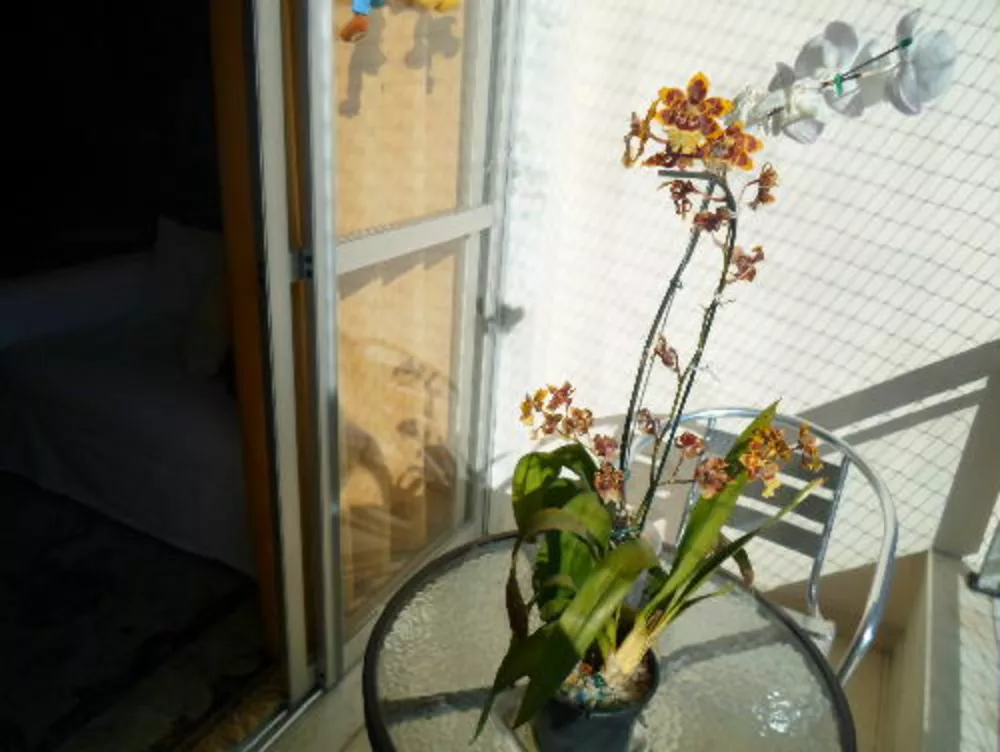 Cobertura, 2 quartos, 115 m² - Foto 6