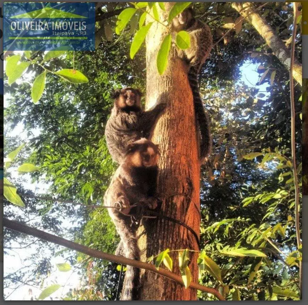 Casa, 2 quartos, 912 m² - Foto 34