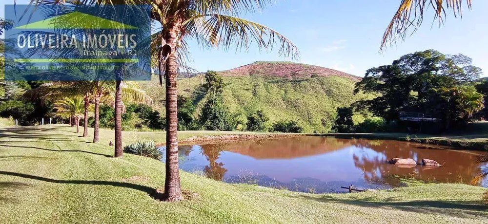 Sítio, 2 quartos, 20 hectares - Foto 14