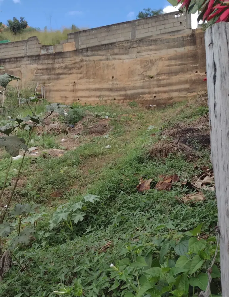 Terreno - Foto 1