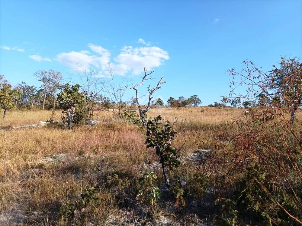 Fazenda à venda, 9m² - Foto 1