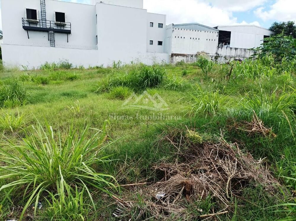 Terreno, 360 m² - Foto 4