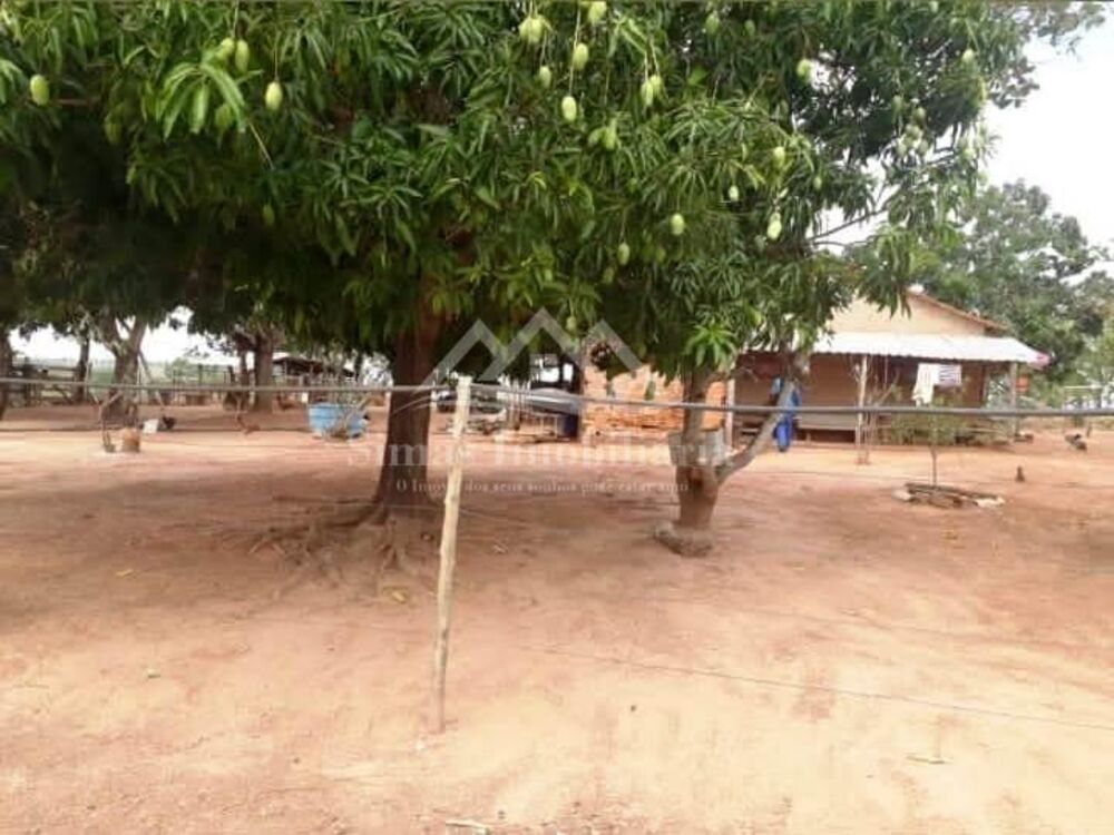 Fazenda-Sítio-Chácara, 47 m² - Foto 4