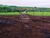 Fazenda, 47 m² - Foto 3
