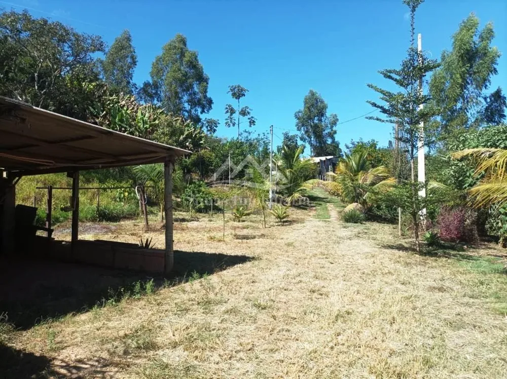 Fazenda, 8000 m² - Foto 8
