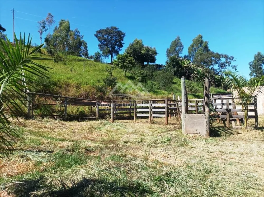Fazenda, 8000 m² - Foto 7