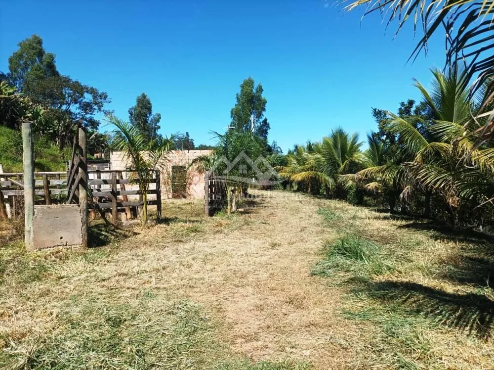 Fazenda, 8000 m² - Foto 2