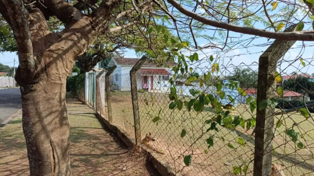 Fazenda à venda com 1 quarto, 2931m² - Foto 1