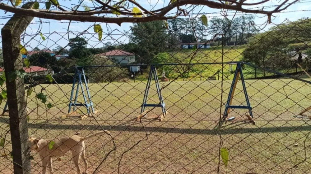 Fazenda à venda com 1 quarto, 2931m² - Foto 3