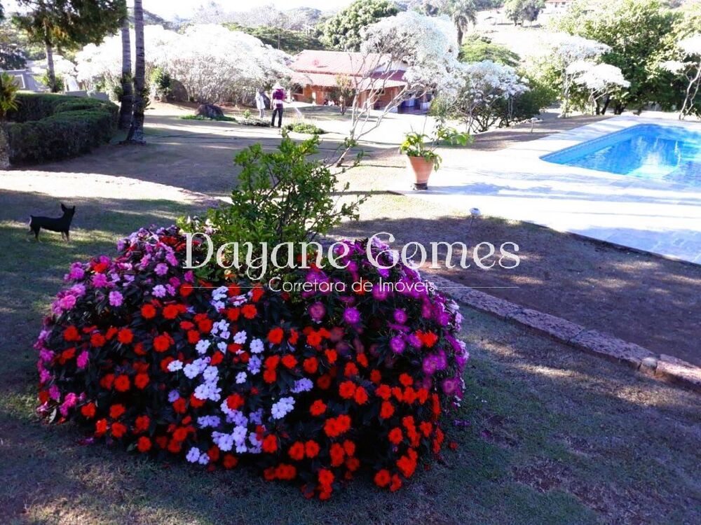 Chácara, 4 quartos, 5000 m² - Foto 5