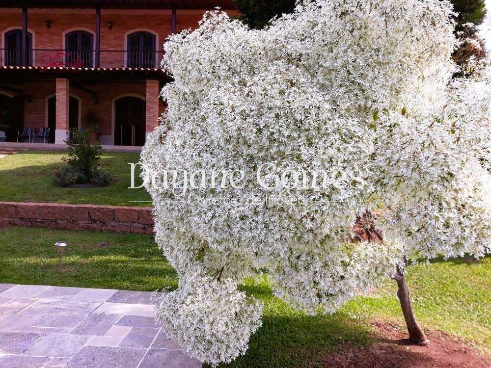 Chácara, 4 quartos, 5000 m² - Foto 4