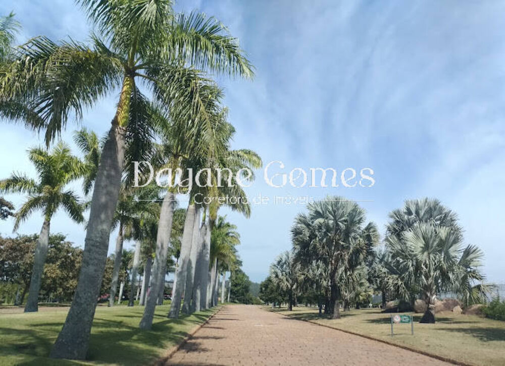 Terreno, 2500 m² - Foto 3