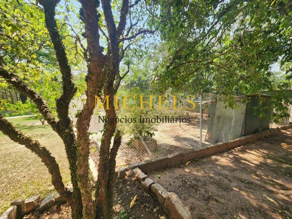 Chácara, 4 quartos, 6000 m² - Foto 8