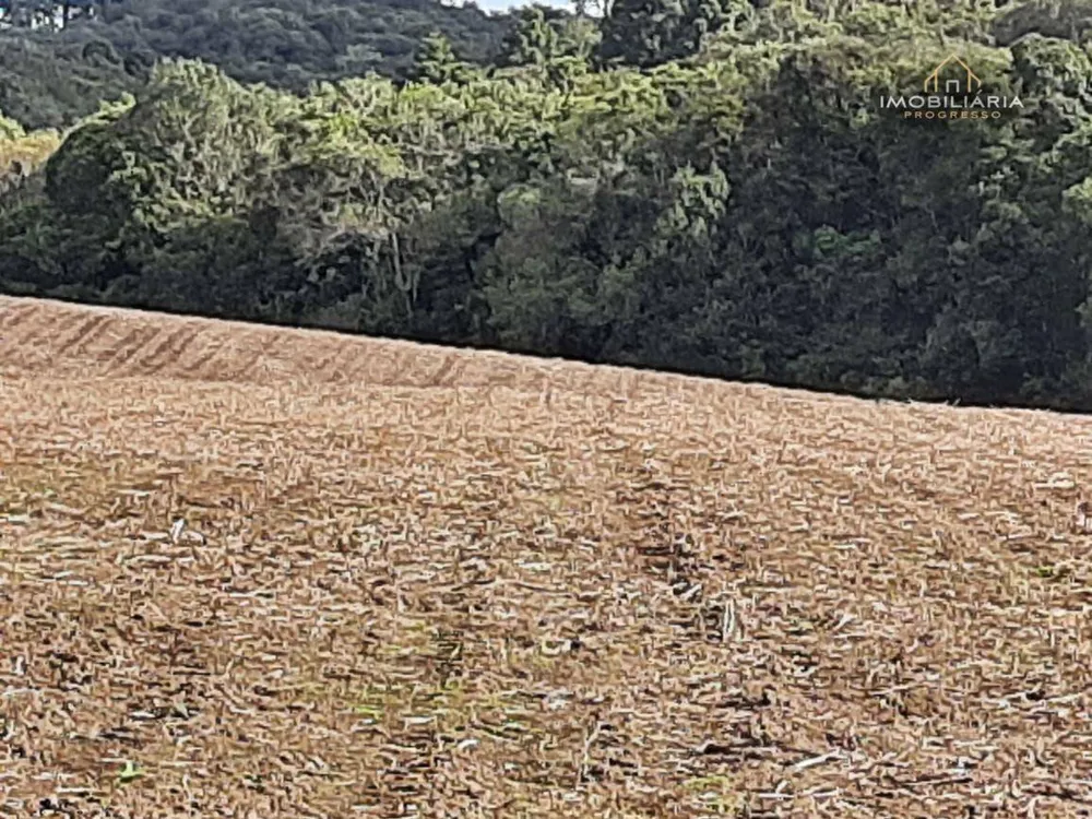 Terreno, 7 hectares - Foto 3