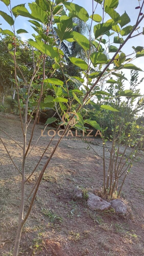 Chácara, 1 quarto - Foto 23