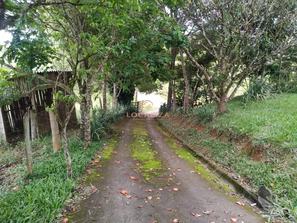 Sítio, 2 quartos, 3 hectares - Foto 4