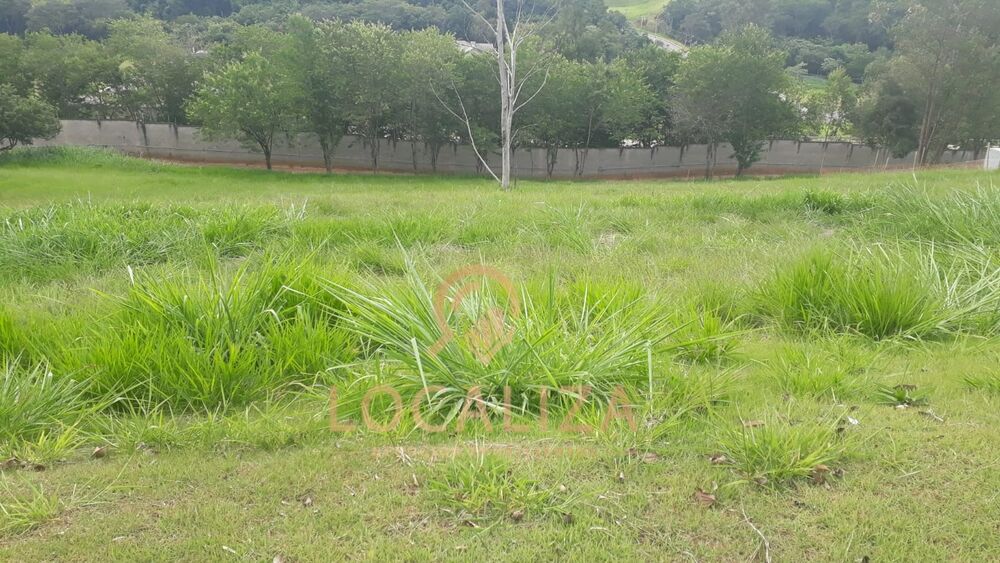 Terreno à venda, 2000m² - Foto 5