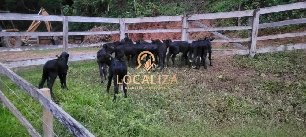 Fazenda, 3 quartos - Foto 14