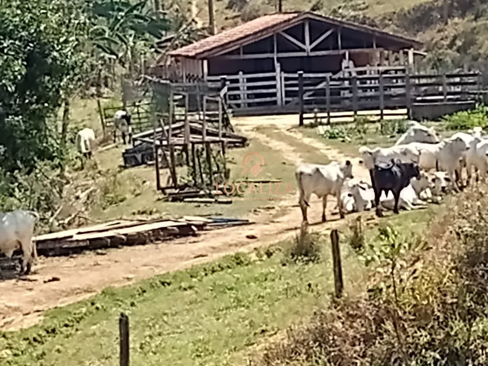 Fazenda, 337 m² - Foto 7