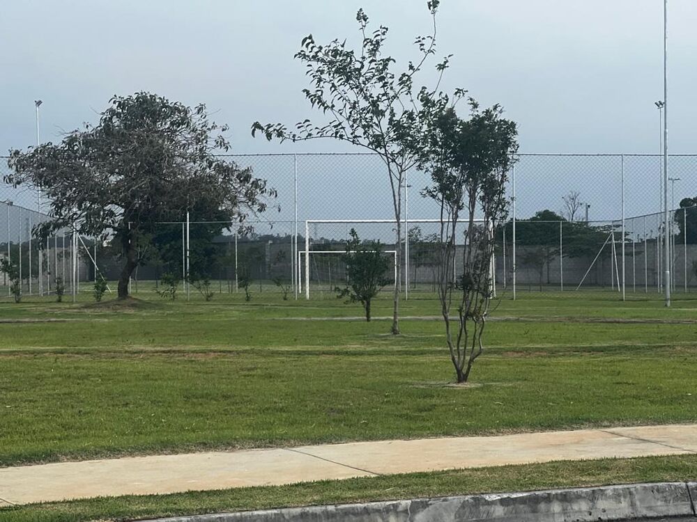 Terreno, 250 m² - Foto 3