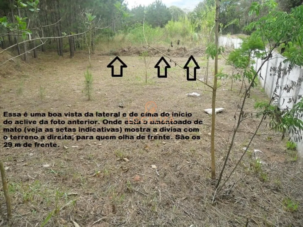 Terreno, 1515 m² - Foto 8