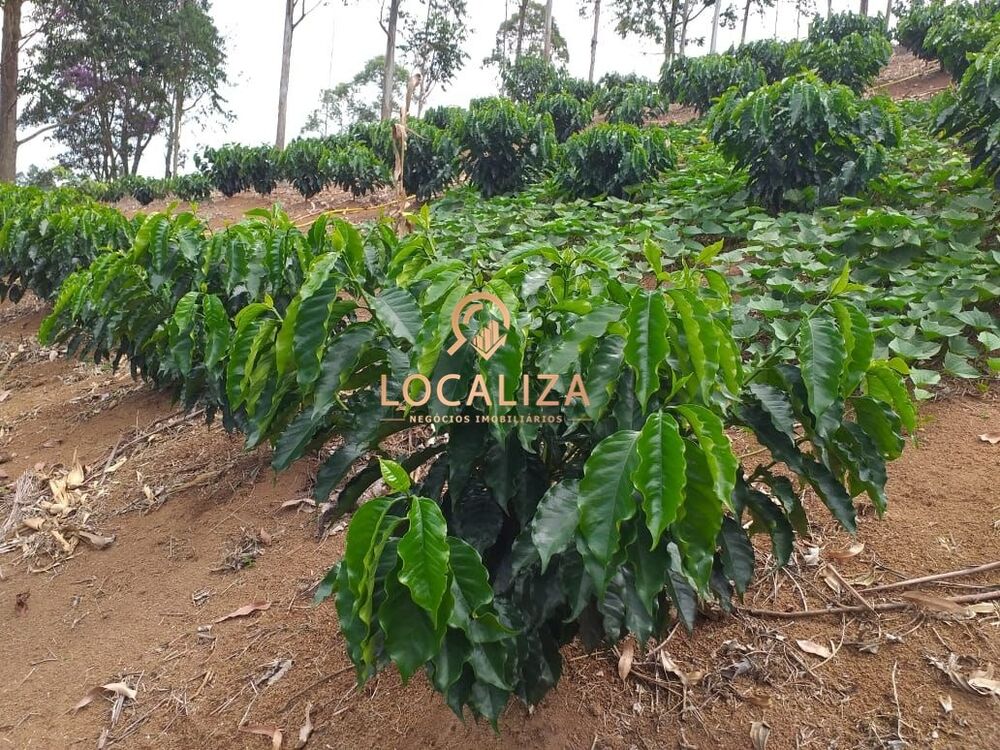 Chácara, 3 quartos, 2 hectares - Foto 33