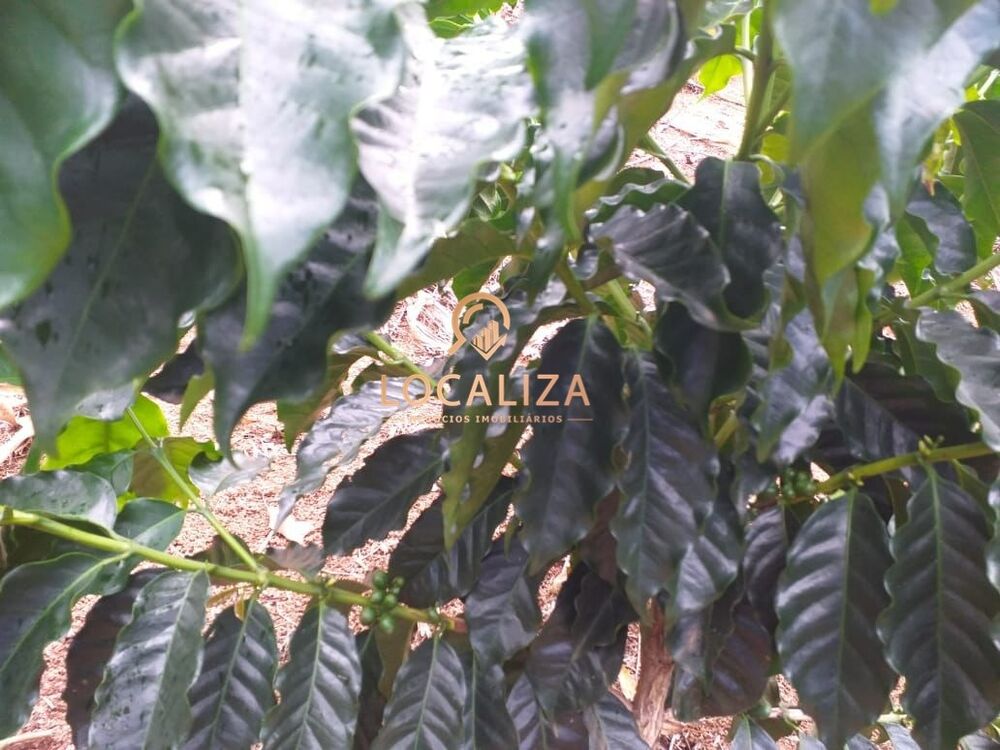 Chácara, 3 quartos, 2 hectares - Foto 26