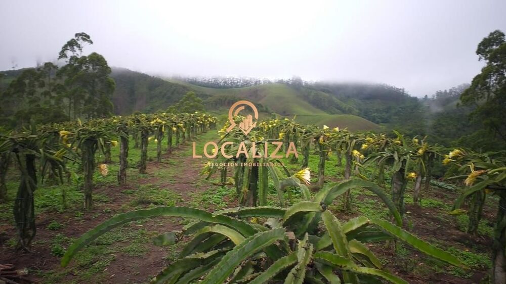 Chácara, 3 quartos, 2 hectares - Foto 20