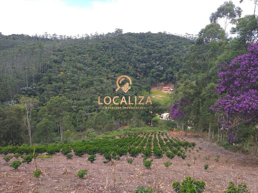 Chácara, 3 quartos, 2 hectares - Foto 37