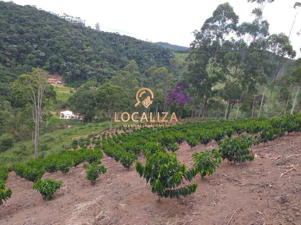 Chácara, 3 quartos, 2 hectares - Foto 32