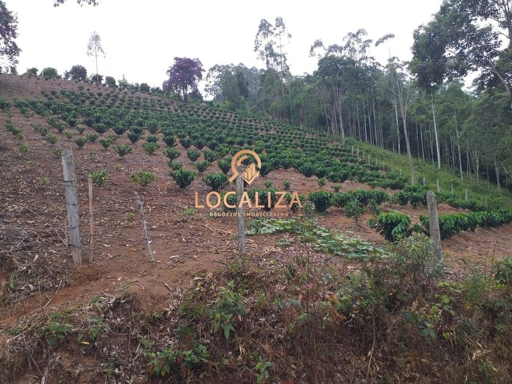 Chácara, 3 quartos, 2 hectares - Foto 24