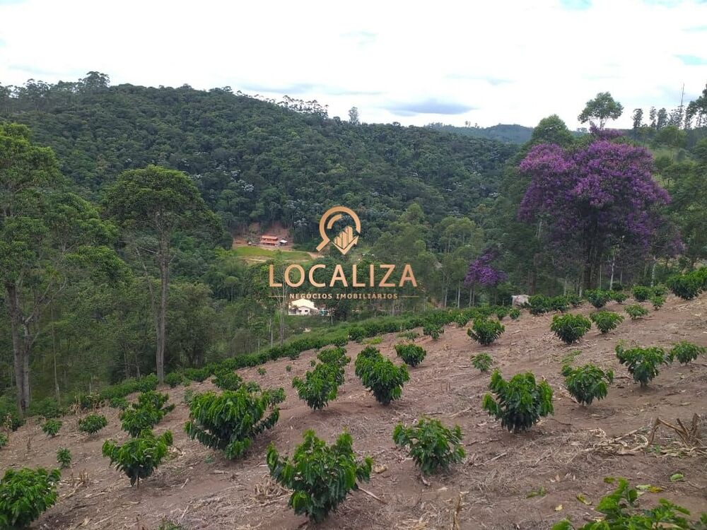 Chácara, 3 quartos, 2 hectares - Foto 34