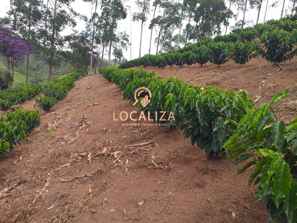 Chácara, 3 quartos, 2 hectares - Foto 31