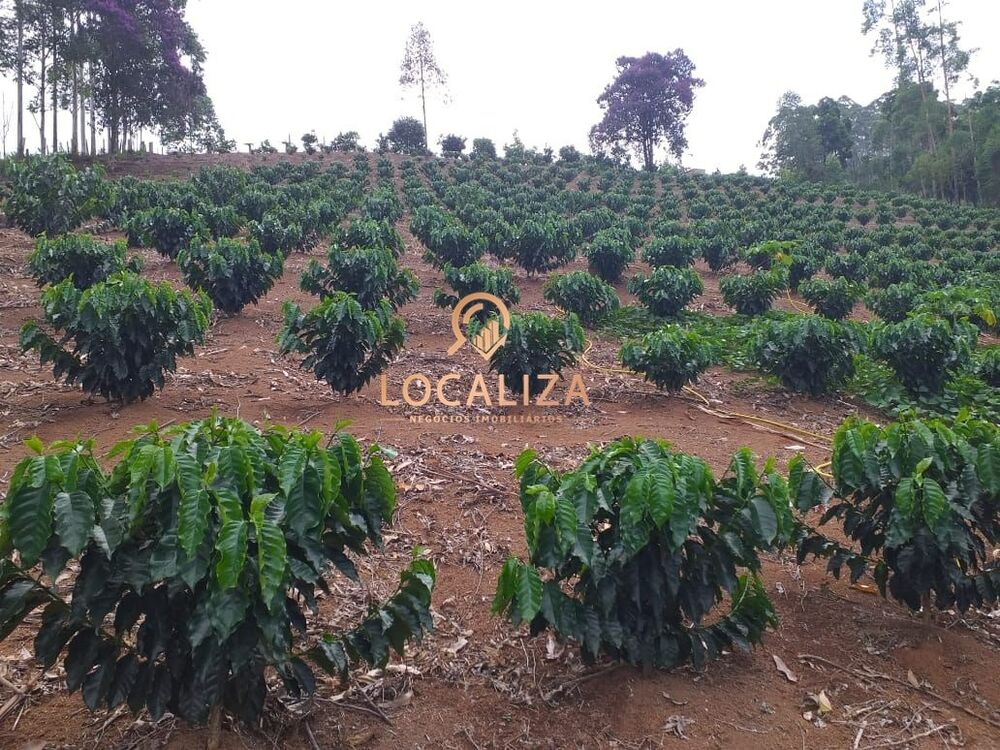 Chácara, 3 quartos, 2 hectares - Foto 23