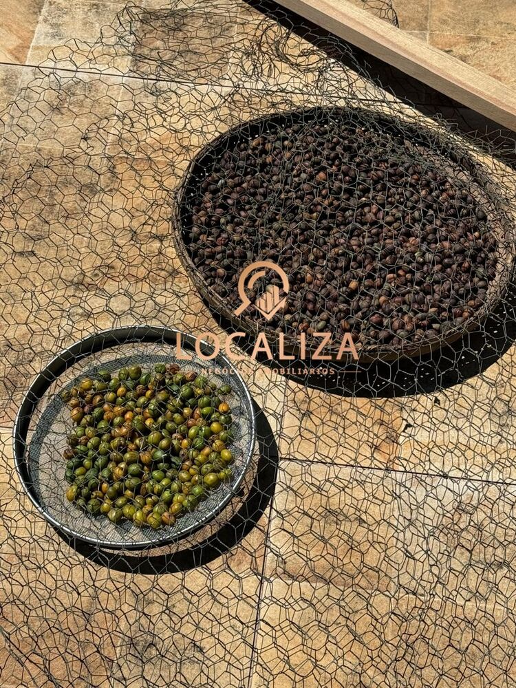 Chácara, 3 quartos, 2 hectares - Foto 36